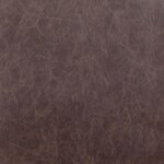 dark brown swatch  