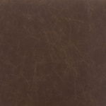 dark brown swatch  