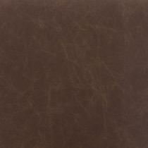 dark brown swatch  