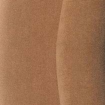 dark brown swatch  