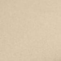 dark brown swatch  