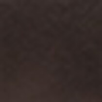 dark brown swatch  