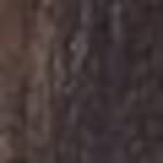 dark brown swatch  