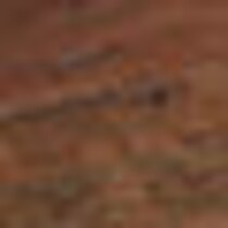dark brown swatch  