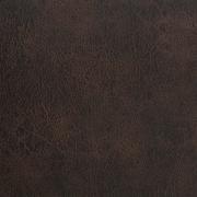 dark brown swatch  