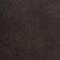 dark brown swatch  