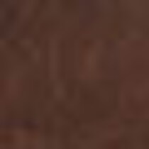 dark brown swatch  