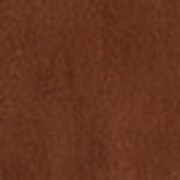 dark brown swatch  