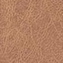 dark brown swatch  