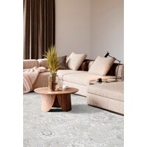 emmons ivory gray beige area rug  x    