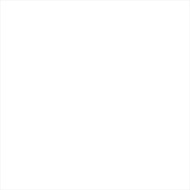 evanston white closet   