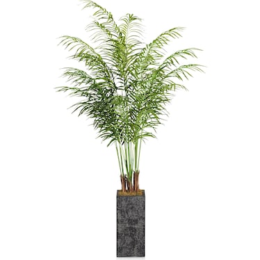 Faux 6' Areca Palm Plant with Black Sanibel Planter - Medium