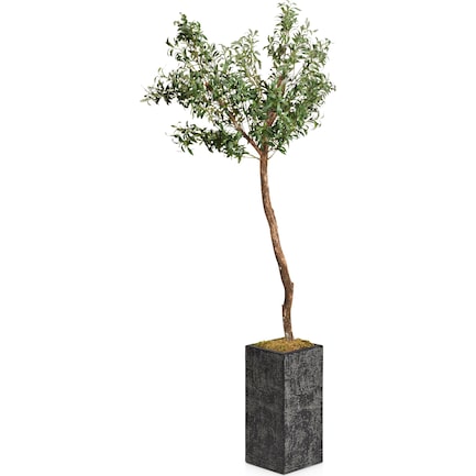 Faux 6.5' Olive Tree with Black Sanibel Planter - Medium