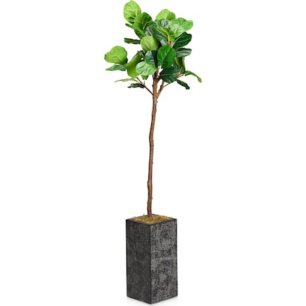 Faux 6' Fiddle Leaf Fig Tree with Black Sanibel Planter - Medium