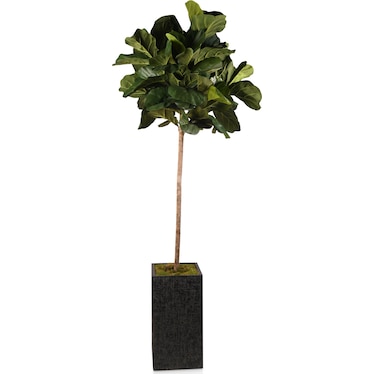Faux 8' Round Fiddle Leaf Fig Tree with Black Sanibel Planter - Large