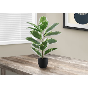 Faux 2' Rubber Tree with Black Planter