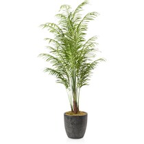 faux plant black faux plant   