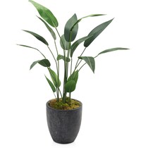 faux plant black faux plant   