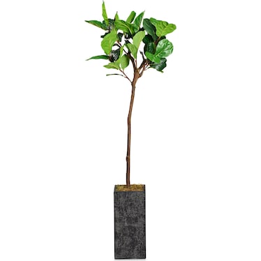 Faux 6.5' Fiddle Leaf Fig Tree with Black Sanibel Planter - Medium