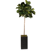 faux plant black faux plant   