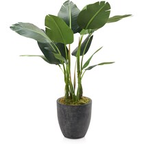 faux plant black faux plant   