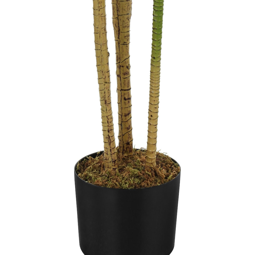 faux plant black faux plant   