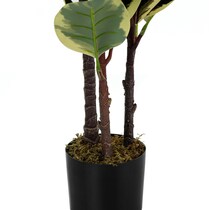 faux plant black faux plant   