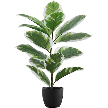 Faux 2' Rubber Tree with Black Planter