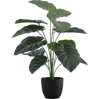 Faux 2' Alocasia with Black Planter