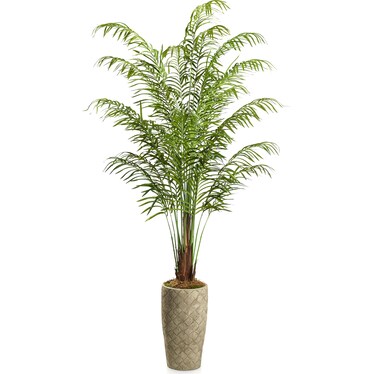 Faux 8' Areca Palm Plant with Verona Terracotta Planter - Medium
