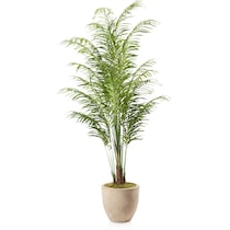 faux plant dark brown faux plant   