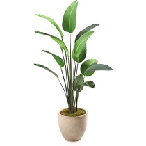 faux plant dark brown faux plant   