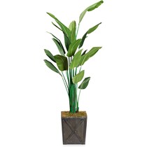 faux plant dark brown faux plant   