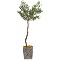 faux plant dark brown faux plant   