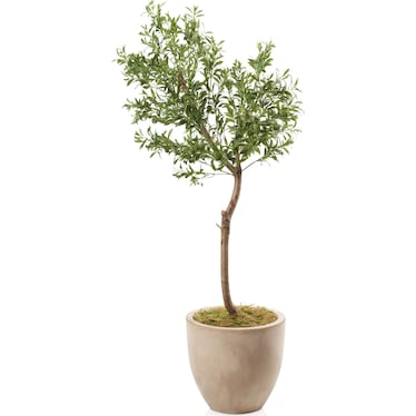 Faux 6' Olive Tree with Sandstone Planter - Medium