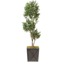 faux plant dark brown faux plant   