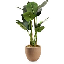 faux plant dark brown faux plant   