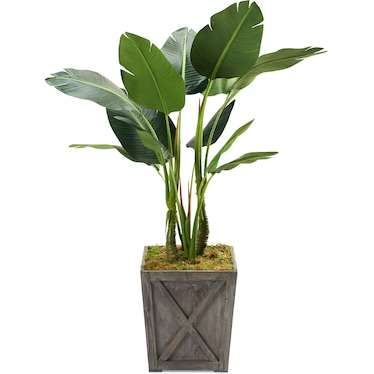 Faux 5' Bird of Paradise Plant with Farmhouse Wood Planter - Medium