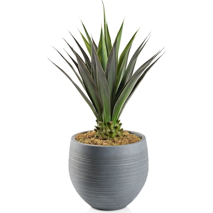 Faux Jumbo Agave Plant with Joel Planter - Large