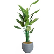 faux plant gray faux plant   