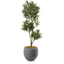 faux plant gray faux plant   