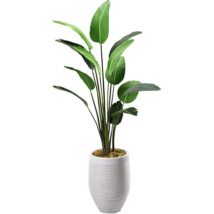 Faux 7.5' Travellers Palm Tree with Laurel Planter - Medium