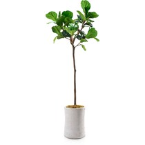 faux plant white faux plant   