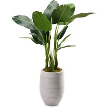 faux plant white faux plant   