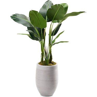 Faux 5' Bird of Paradise Plant with Laurel Planter - Medium