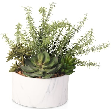 Faux Mixed Succulents and Rosemary Plant in Ceramic Vase - White