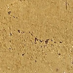 gold leaf swatch  
