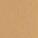 gold swatch  