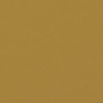 gold swatch  