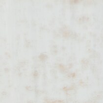 gold swatch  